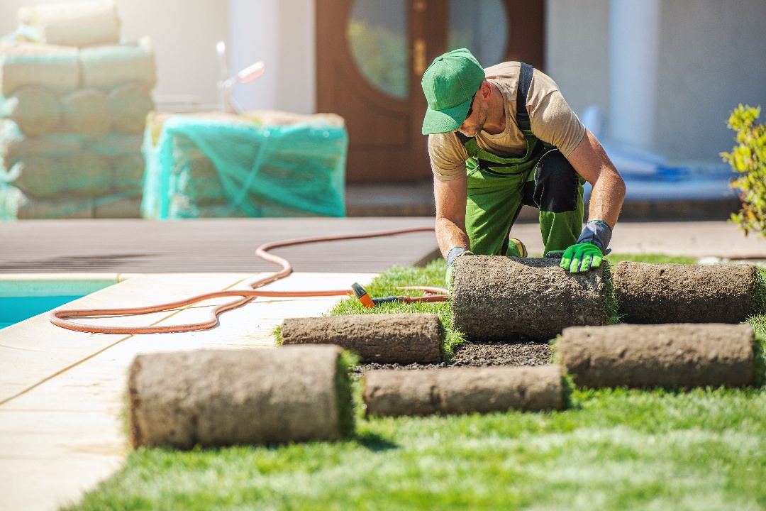 professional-landscaper-installing-new-grass-turfs-2022-12-16-11-51-12-utc-1