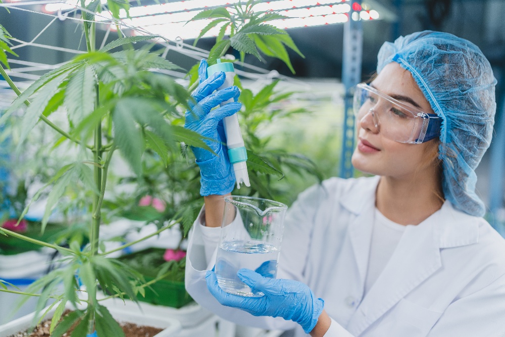 scientist-working-for-alternative-plant-medicals-r-2022-11-15-10-49-44-utc-1